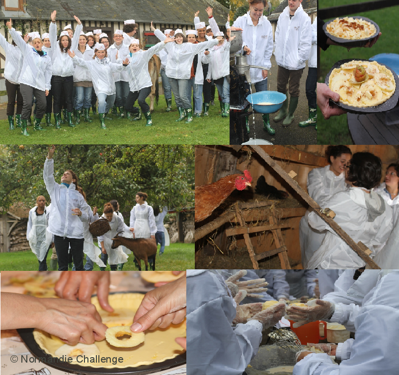 Eco-Challenge 100% normand pour 26 collaboteurs Marketing