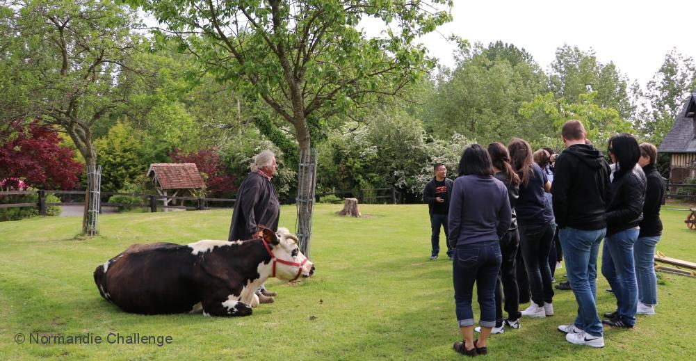 Eco Challenge 100% Normand