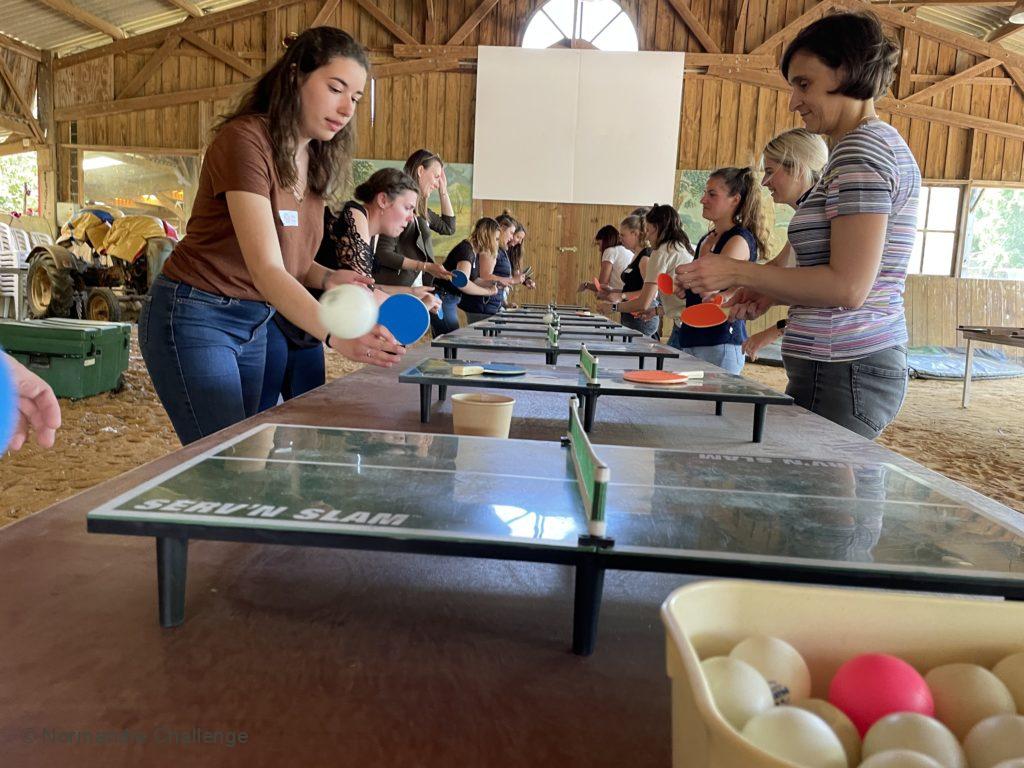 mini ping pong