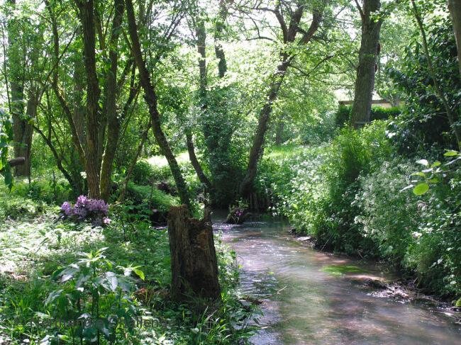 bois riviere touques normandie