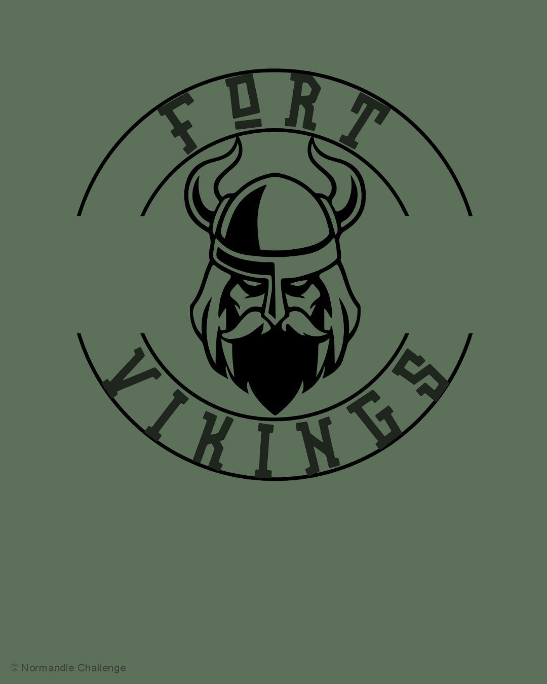 Fort vikings